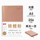趁早2025薄本效率手冊軟抄本兩日一頁A5日計劃本日程本256頁高顏值辦公記事本筆記本子手賬-錦鯉粉