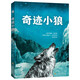 奇跡小狼 關(guān)于勇氣、責任與愛(ài)的故事 兒童課外閱讀 全插圖真實(shí)還原小狼遷徙的生命奇跡 英國水石兒童圖書(shū)獎提名 