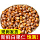 辰實【現(xiàn)貨】新鮮銀杏果 帶殼白果仁 邳州特產(chǎn) 2斤去殼白果仁