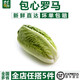 千牛優(yōu)福包心羅馬生菜250g-500g 包羅黃心嫩羅紋凱撒生菜新鮮蔬菜沙拉食材 500g