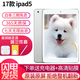 原裝蘋果/Apple iPad5/6/7/8/9/10/11 mini3/4/5/6二手平板電腦 9新(9.7寸)17款ipad5代-32G 【wifi版】