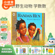 小彼恩毛毛蟲點讀筆配套書 漢達的母雞Handa's Hen廖彩杏書單推薦 英文進口原版讀物 點讀發聲書 點讀書早教書 漢達的母雞
