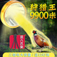 山拓大功率頭燈進口LED燈珠強光戶外遠射一體頭戴式夜釣魚探照礦燈  3051/9400W白光+黃光罩標(biāo)配