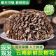 香格里拉松茸云南新鮮灰樹花特產(chǎn)栗蘑灰樹菇舞茸菌茶蘑菇菌菇類繡球 新鮮灰樹花500g