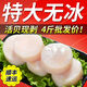 諾斯食美 特大扇貝柱新鮮帶子冷凍元貝柱瑤柱海鮮水產(chǎn) 2包實(shí)惠裝 特大號(hào)精選 真空分裝