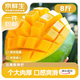 京鮮生 云南凱特芒凈重8斤 單果400g＋ 新鮮水果 源頭直發(fā)包郵