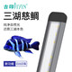 吉印刀鋒三湖慈鯛魚(yú)燈鸚鵡魚(yú)燈專(zhuān)用引色燈魚(yú)缸燈增艷發(fā)色紅光潛水燈 刀鋒S日落款鯛魚(yú)專(zhuān)業(yè)燈56cm