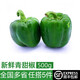 綠食者新鮮青甜椒500g 青圓椒 綠椒 青椒 新鮮農(nóng)家蔬菜