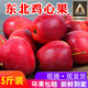 映棠 東北雞心果5斤【順豐快遞—多地次日達(dá)】海棠果玫瑰小蘋果禮盒裝 5斤大果【人工精選】 現(xiàn)摘現(xiàn)發(fā)