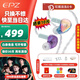 EPZ g30【免費定制】有線耳機高端電競游戲耳塞入耳式hifi發燒音樂三角洲行動/無畏契約/FPS可用 電競游戲版【TYPEC線控麥克風】支持EQ調音