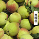 桃子苗 桃樹(shù)苗龍辰語(yǔ) 嫁接桃苗盆栽地栽當年結果南方北方種植 鷹嘴桃 2年苗