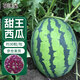 花沃里甜王西瓜種30粒 蔬菜種子家庭陽(yáng)臺花盆西瓜種植土庭院田間種菜籽