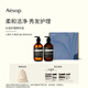 伊索Aesop頭發護理兩件組:洗發露+潤發乳 洗發水護發素禮盒生日禮物