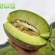 冰火蜜新疆龜茲翠玉留香瓜 綠心哈密瓜甜瓜冰激凌網(wǎng)紋瓜新鮮當季水果龜茲翠玉留香瓜8至9斤裝（2個(gè)裝）