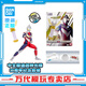 萬代（BANDAI）迪迦奧特曼 聲光 神光棒 可動人偶 30周年紀念套裝 男孩玩具 迪迦奧特曼