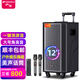 山水（SANSUI） E12系列 戶外8寸12寸15寸移動拉桿便攜式k歌高保真唱歌藍牙廣場舞音箱 室外大功率演出拓展音響 E12豪華版（12吋重低音+雙話筒）