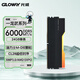 光威（Gloway）24GB DDR5 6000 臺式機內存條 龍武 RGB燈條 海力士M-die CL28 星空黑 AI電腦配件升級
