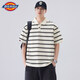 Dickies條紋短袖POLO衫男士2026夏季新款寬松工作休閑打底半截恤上衣服裝 杏色 【官方正品】 薄款 XL 【建議130-145斤】