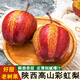 鑫果滋陜西彩虹梨 秦嶺早酥紅梨子新鮮水果當(dāng)季脆甜紅皮梨 4.5-5斤 大果（每斤約2-3個(gè)）