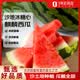趣嘗鮮 沙地冰糖無籽麒麟西瓜 1枚 凈重8-9斤 新鮮水果 源頭直發包郵