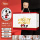 迪士尼（Disney）新生嬰兒禮盒見面禮高檔滿月寶寶禮物搖鈴布書撥浪鼓玩具0-6個(gè)月