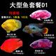 樂淘逸寵血紅鸚鵡魚活體發(fā)財魚財神魚大型熱帶觀賞魚淡水好養(yǎng) 大型魚套餐D1發(fā)順豐
