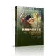 狄奧提瑪?shù)暮⒆觽儭獜娜R布尼茨到萊辛的德國審美理性主義