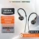 拜雅（beyerdynamic）拜亞動力 DT  IE 系列入耳式專業監聽耳機 【榭蘭圖升級版】發燒HIFI耳機 【DT 70 IE】混音和音樂鑒賞