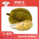 京鮮生 進口金枕頭鮮榴蓮 凈重7-8斤 1個裝 生鮮 新鮮水果 新鮮榴蓮