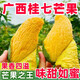 迎畔桂七芒果 廣西田東白色桂七芒新鮮熱帶水果禮盒裝 凈重3斤嘗鮮裝 單果3-4兩 人工精選