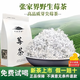 莓茶張家界正宗特級龍須茶土家藤茶永順嫩芽尖霉茶養生茶野生莓茶 芽尖莓茶 125克*4袋