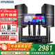 HYUNDAI【政府補貼】現代HY10S家庭ktv音響套裝唱歌全套設備家用三分頻家庭影院家用卡拉ok唱歌全套設備