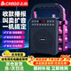 志高（CHIGO）無線藍牙音箱手提便攜式家用小型收音機戶外大音量收款喇叭會議教學擺攤商店門店促銷擴音多功能款