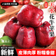 兮柔甘肅花牛蘋(píng)果 粉面香甜應季新鮮水果孕婦刮泥蘋(píng)果整箱現摘現發(fā) 3斤小果 單果約70mm