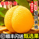 山姆伯伯 蒙陰黃桃【順豐-多地次日達】山東黃金蜜毛桃油桃新鮮水果桃子 【更大更甜】S+級品質果王180g+ 凈重5斤【蕞劃算-85%選擇】*家庭分享