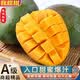 元珍鮮誠 攀枝花凱特芒甜心芒果當季直采芒果新鮮水果整箱送禮 含箱5斤凈重4.5斤（300-650g）