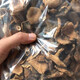 湖南天然野生紅樅菌烏樅菌蘑菇樅菌寒菌松樹(shù)菌重陽(yáng)菌雁來(lái)蕈 干樅菌 250克