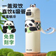 迪樂(lè )貝爾保溫杯316不銹鋼高顏值兒童學(xué)生吸管杯開(kāi)學(xué)必備上學(xué)專(zhuān)用熊貓水杯 熊貓保溫杯480ml-白色