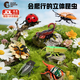 盟石（cute stone）發(fā)條有翅昆蟲真玩具可動(dòng)蜜蜂知了夜光趣味兒童玩具禮物禮盒 立體7大昆蟲禮盒【蜜蜂知了夜光翅膀+7張知識(shí)卡片】