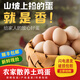 康勝誼【順豐快遞】農(nóng)家散養(yǎng)土雞蛋新鮮散養(yǎng)草雞蛋月子蛋笨雞蛋整箱 50枚 4.5斤 散養(yǎng)土雞蛋