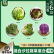 千牛優(yōu)福新鮮蔬菜沙拉2斤3斤裝混合蔬菜健身餐5種食材輕食色拉套餐 5種蔬菜3斤裝【6包醬】