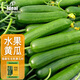 IDEAL理想農(nóng)業(yè) 水果黃瓜種子夏秋季種高產(chǎn)綠心黃瓜籽強(qiáng)雌水果黃瓜種子