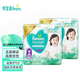 幫寶適（Pampers）清新幫拉拉褲透氧Pro箱裝嬰兒柔軟透氣寶寶日夜可用尿不濕 拉拉褲4XL30片*兩包(19kg以上)