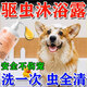 狗狗沐浴露清潔除臭洗澡驅(qū)蟲止癢拉布拉多比熊寵物殺菌除螨清潔 一瓶裝【500ml】