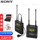 索尼（SONY） D21/D22/D27小蜜蜂無線領(lǐng)夾/手持麥克風(fēng) 話筒單反微單相機(jī)攝像機(jī)錄音配件 索尼D21無線話筒送充電套裝 收納盒