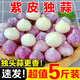 鶯棲云南紫皮獨頭蒜5斤新鮮干蒜辛辣濕蒜大蒜頭瓣蒜農(nóng)家自種現(xiàn)挖糖蒜 獨頭蒜1斤小果（2.0-2.5cm)