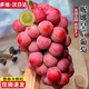 庫瑞云南妮娜皇后葡萄新鮮現(xiàn)摘水果紅寶石女王無籽紅提子孕婦水果禮盒 妮娜女皇精選果3斤裝凈果2.5斤