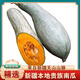 新疆發(fā)貨正宗新疆貴族南瓜金絲栗板栗南瓜沙漠農(nóng)產(chǎn)品丑瓜倭瓜 9斤