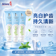 安利（Amway）薄荷健齒多效牙膏200g*3支