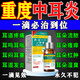 中耳炎專用滴耳液耳朵里面癢止癢抑菌中耳炎真菌感染止癢殺菌消炎 【單盒裝】 20ml 1瓶 特效耳朵發(fā)炎流膿癢止癢抑菌滴耳液真菌感染